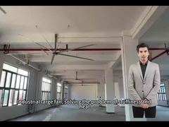 5.0M 16FT فن های بزرگ برای گردش هوا بهینه در فضاهای مدرسه و باشگاه
