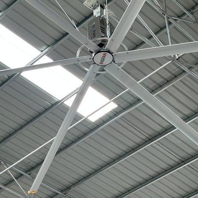 قیمت خوب 7.3m 24FT بزرگ تهویه مطبوع صنعتی و خنک کننده هواپیمای هواپیمای از کارخانه چین آنلاین