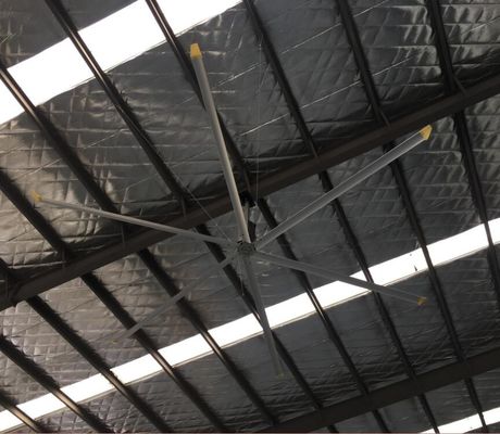 قیمت خوب 50RPM HVls فن سقف صنعتی آنلاین